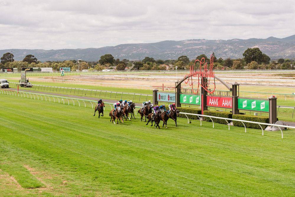 Industry Release Port Adelaide Cup Exemption To Boost Sa Autumn Racing Carnival Racing Sa