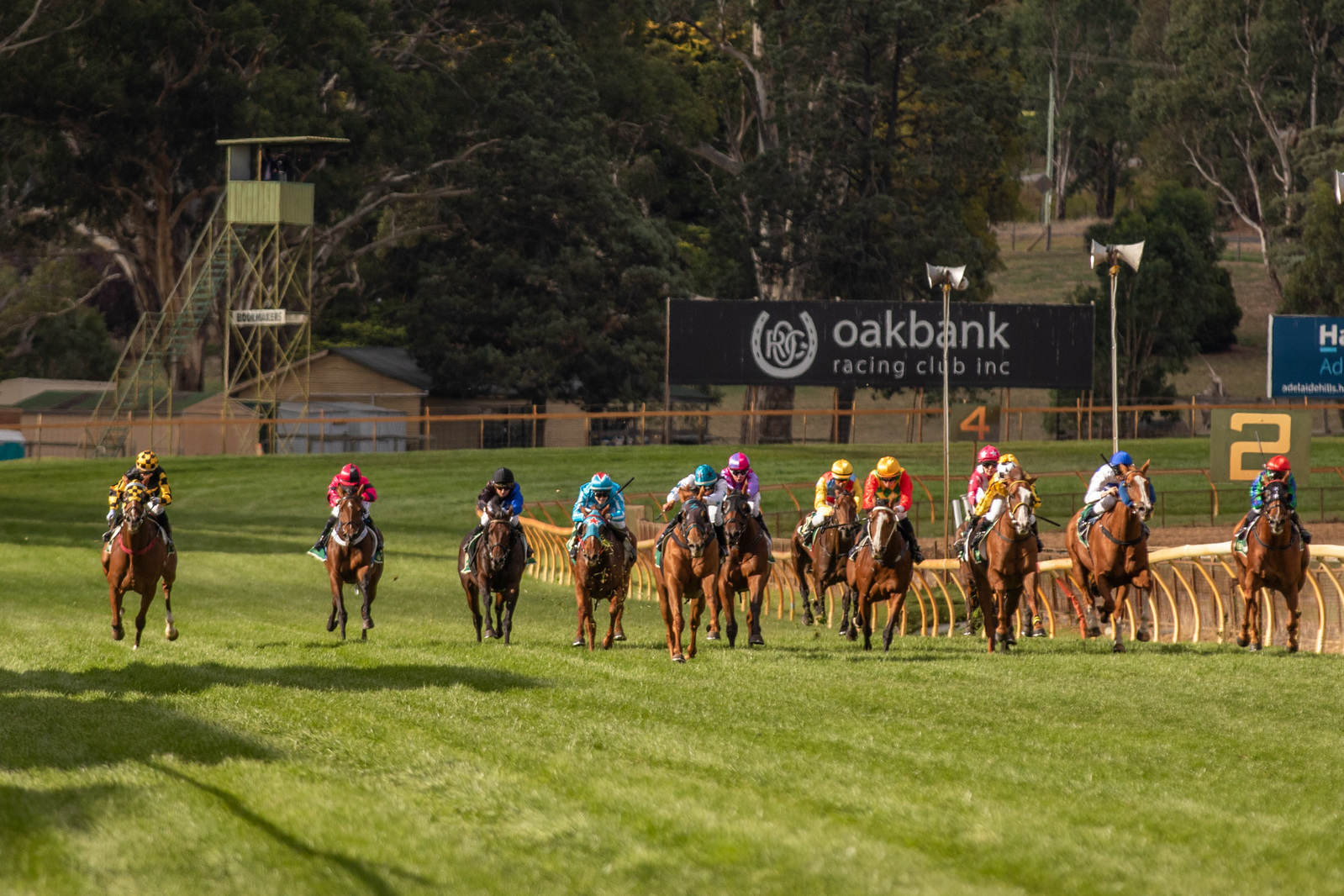 Oakbank Racing Club