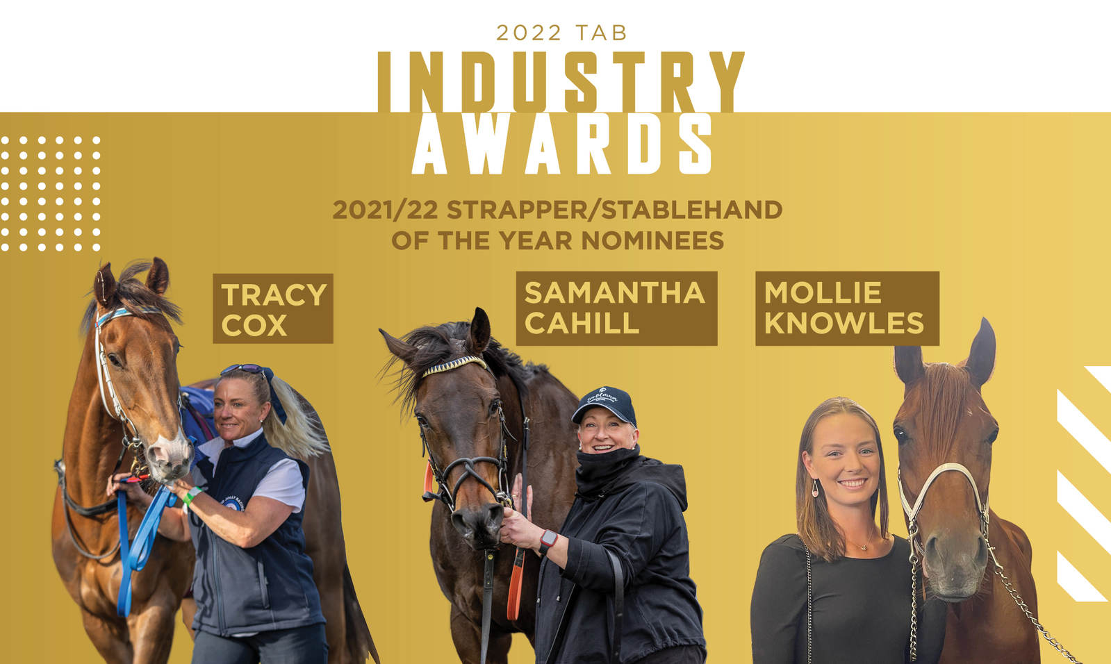 My Kingdom for a Horse  Australian Training Awards