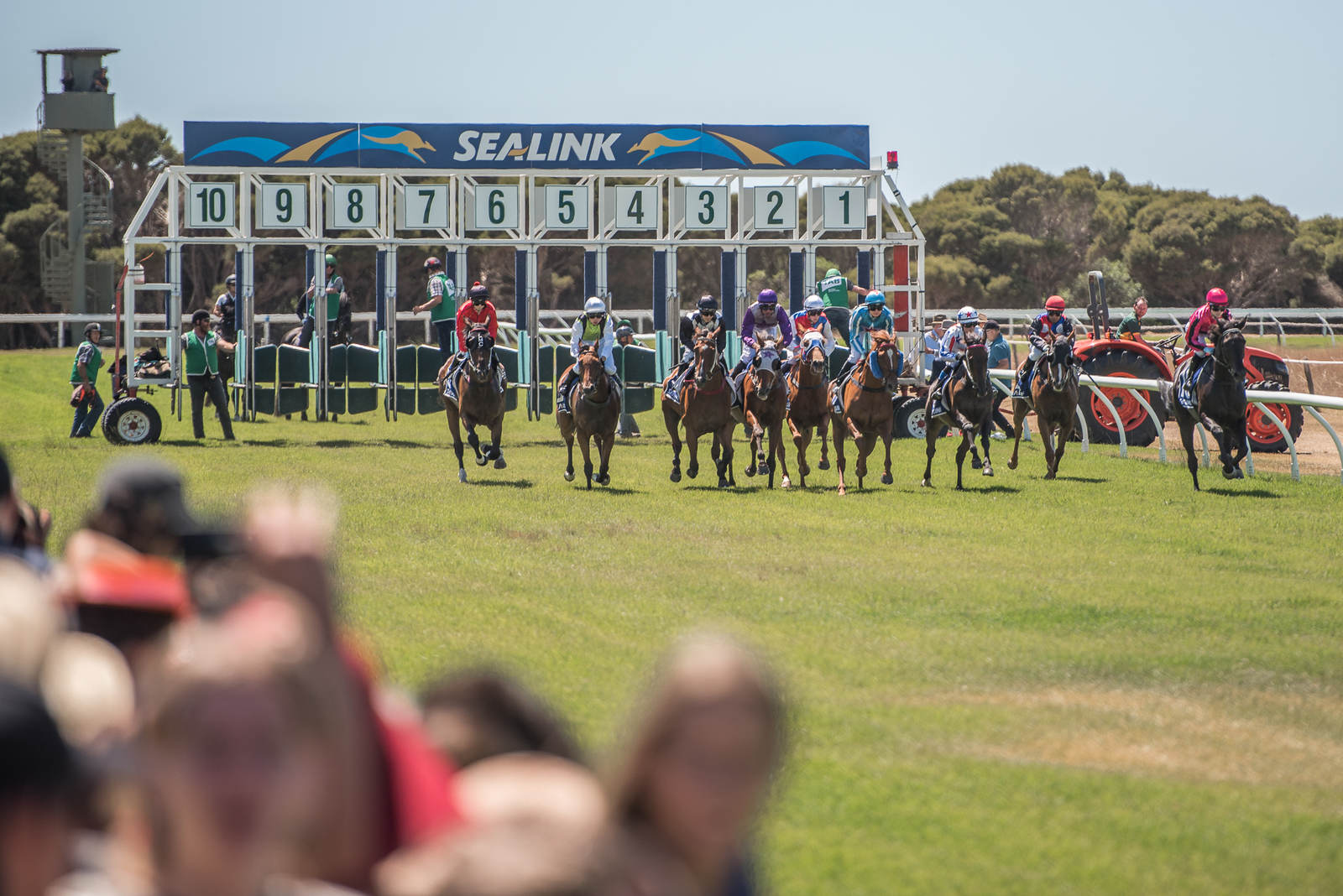 Splash Some Cash Eyeing Off Third Kangaroo Island Cup Racing SA