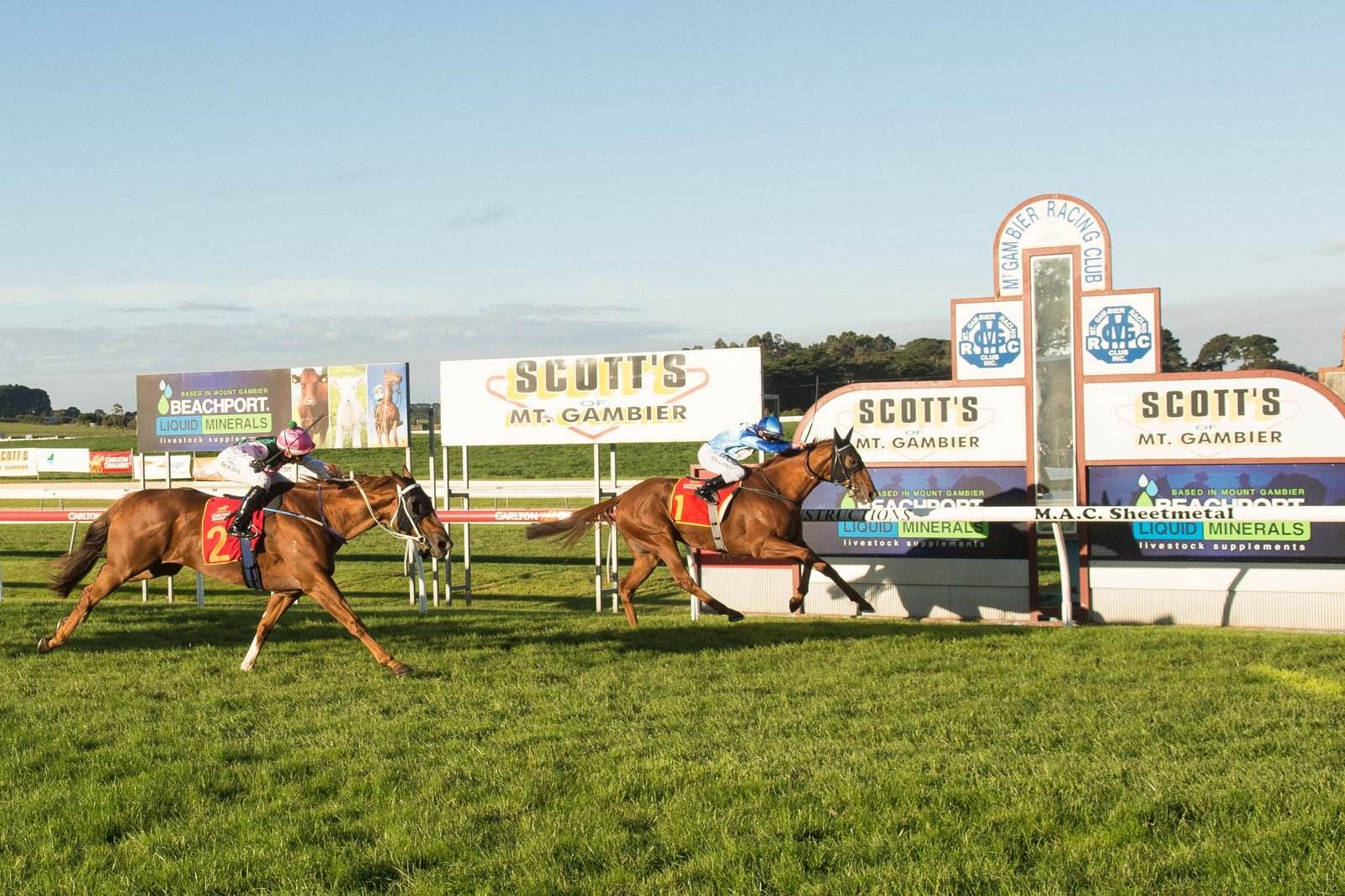 A Look at The Mount Gambier Gold Cup | Racing SA
